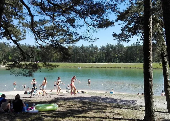 Boshuisje Op De Veluwe Nunspeet