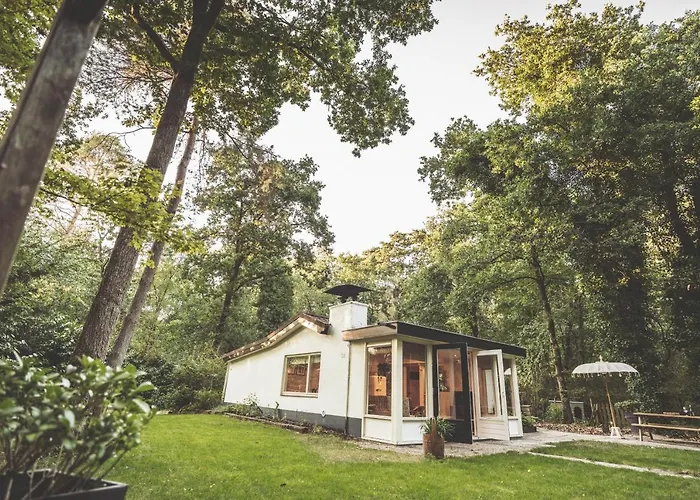 Boshuisje Op De Veluwe Сasa de vacaciones *