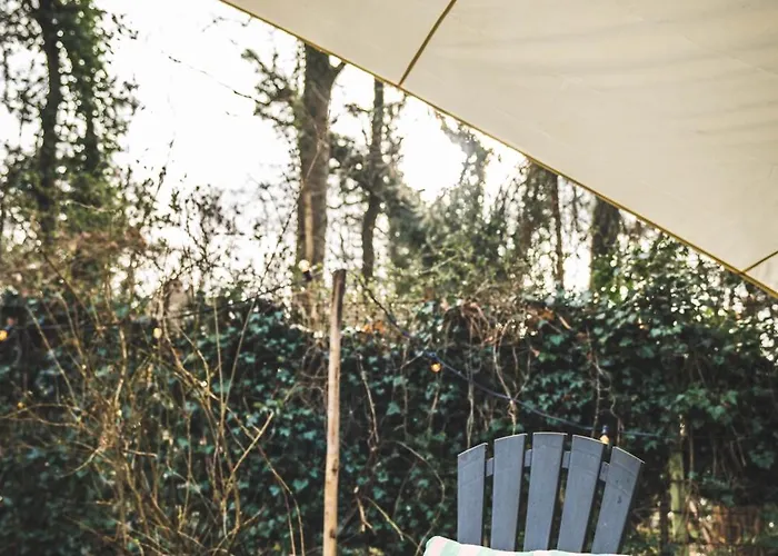 Boshuisje Op De Veluwe * Nunspeet