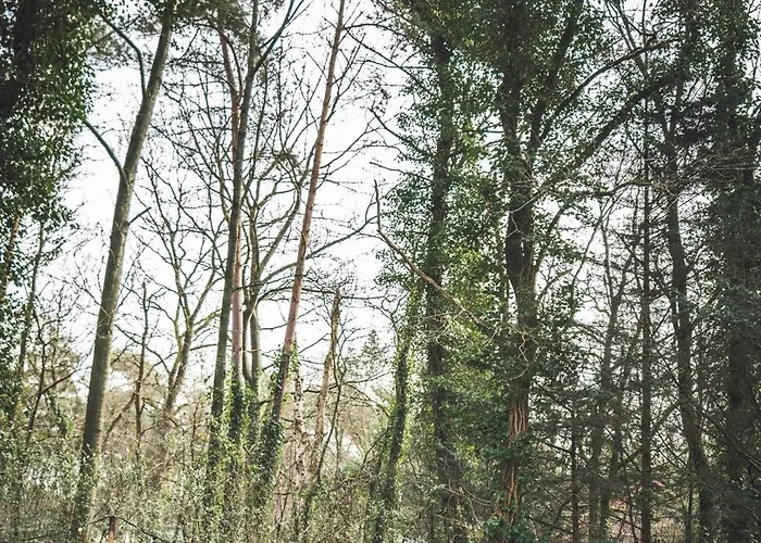Сasa de vacaciones Boshuisje Op De Veluwe