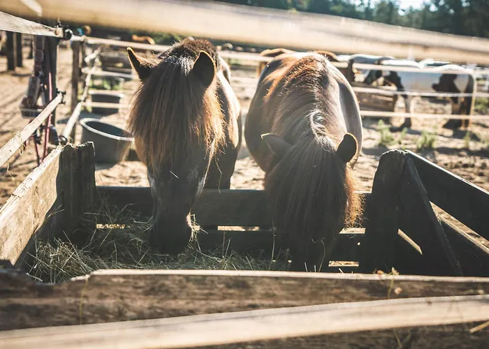 Сasa de vacaciones Boshuisje Op De Veluwe Nunspeet