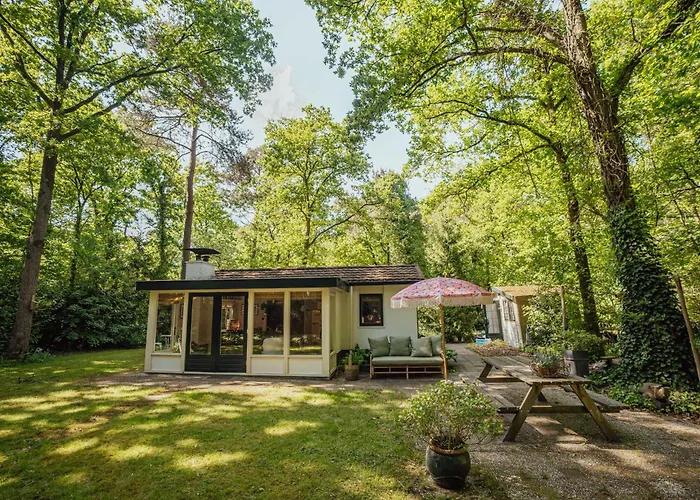 Boshuisje Op De Veluwe *