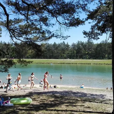 Boshuisje Op De Veluwe Nunspeet