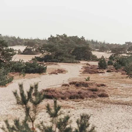 Boshuisje Op De Veluwe * Nunspeet