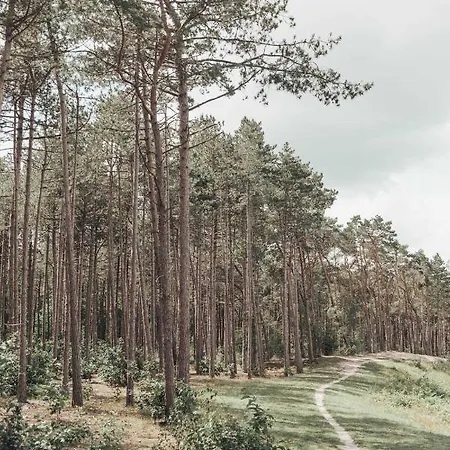 Hébergement de vacances Boshuisje Op De Veluwe Nunspeet