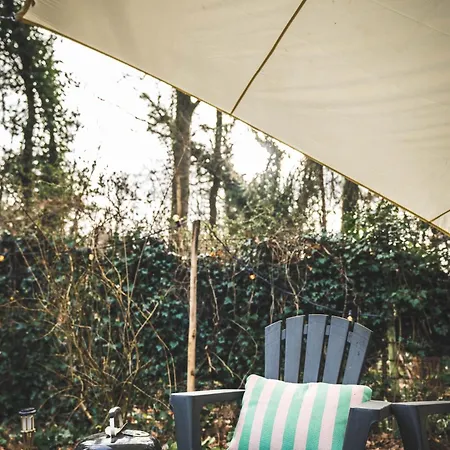 Boshuisje Op De Veluwe * Nunspeet