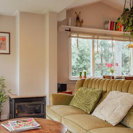 Boshuisje Op De Veluwe Nunspeet