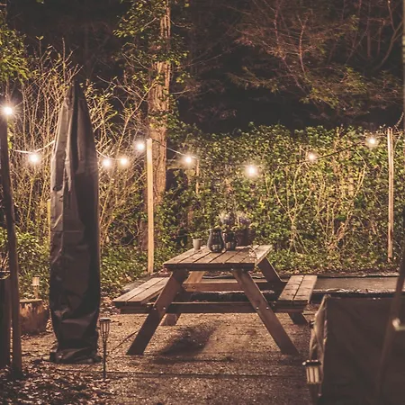 Boshuisje Op De Veluwe * Nunspeet