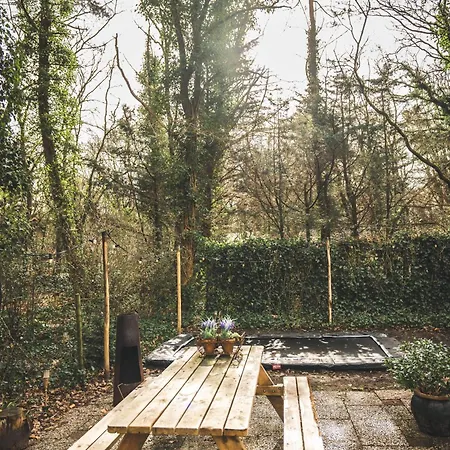 Boshuisje Op De Veluwe Hébergement de vacances