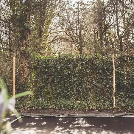 Boshuisje Op De Veluwe *