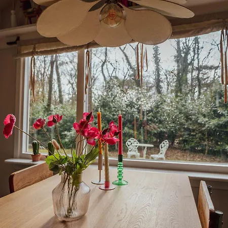 Boshuisje Op De Veluwe * Nunspeet