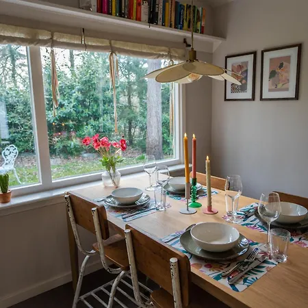 Boshuisje Op De Veluwe Nunspeet