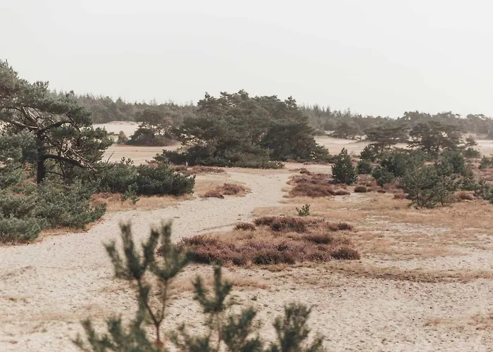 Boshuisje Op De Veluwe * Nunspeet