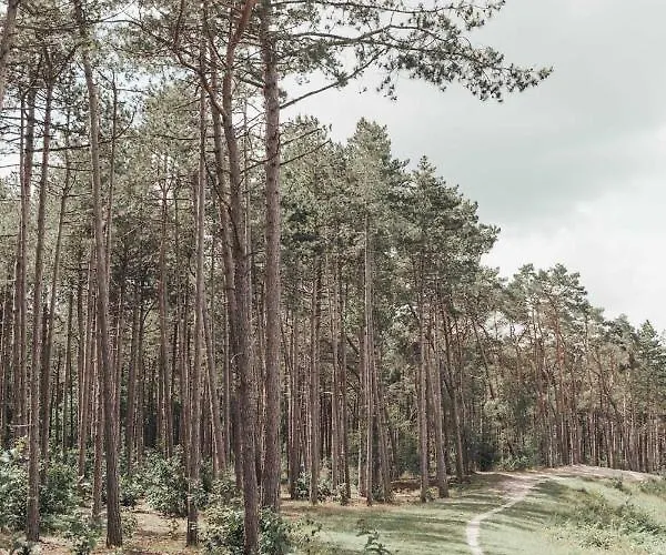 Casa vacanze Boshuisje Op De Veluwe Nunspeet