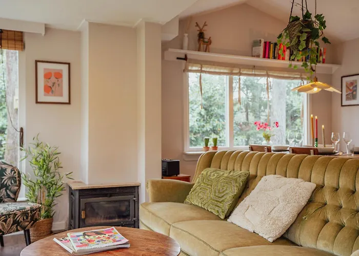 Boshuisje Op De Veluwe Nunspeet