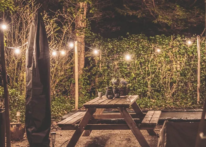 Boshuisje Op De Veluwe * Nunspeet