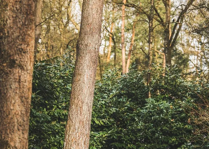 Casa vacanze Boshuisje Op De Veluwe Nunspeet